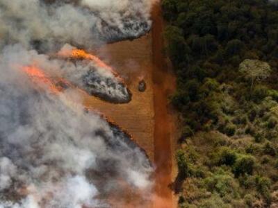 O modelo de produção do agronegócio tem ameaçado o Cerrado, segundo maior bioma do Brasil que perdeu mais de 50% da sua cobertura vegetal original, de 1970 a 2018. Foto: Joel Silva.