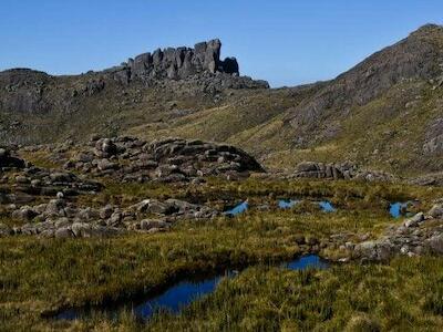 - Parque Nacional do Itatiaia, no Rio de Janeiro. Adriana Mattoso/ICMBio