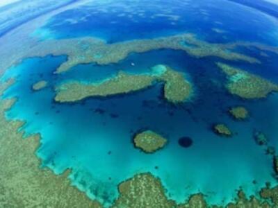 5849_coral_1_460x230